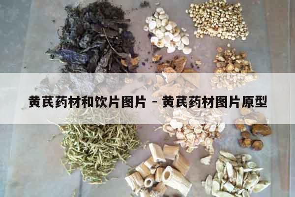 黃芪藥材和飲片圖片 - 黃芪藥材圖片原型 黃芪藥材和飲片圖片 - 黃芪藥材圖片原型