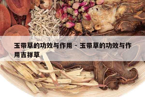 玉帶草的功效與作用 - 玉帶草的功效與作用吉祥草
