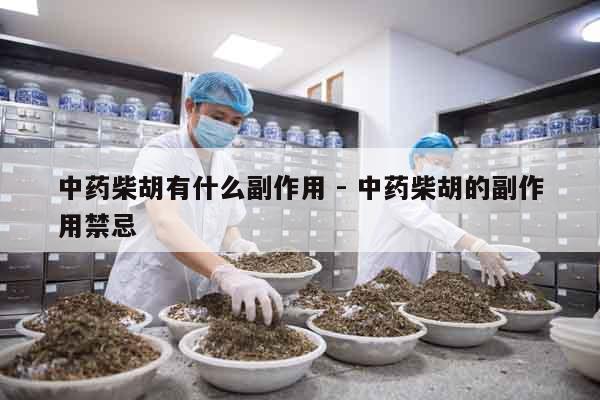 中藥柴胡有什么副作用 - 中藥柴胡的副作用禁忌