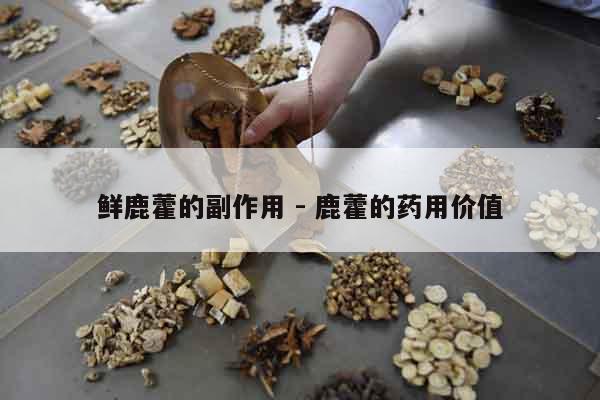 鮮鹿藿的副作用 - 鹿藿的藥用價值