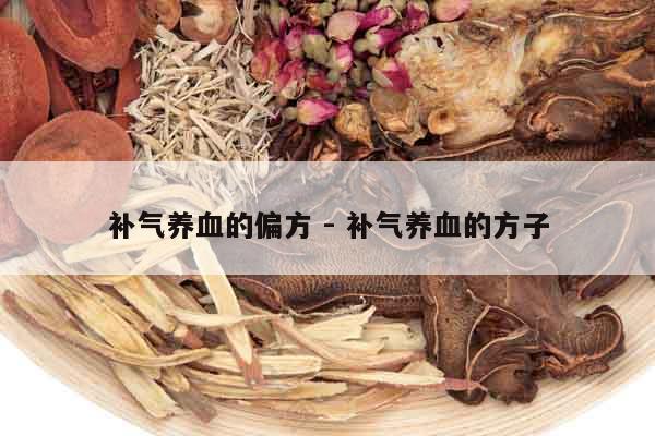 補氣養血的偏方 - 補氣養血的方子