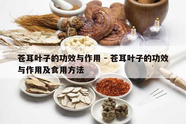 蒼耳葉子的功效與作用 - 蒼耳葉子的功效與作用及食用方法