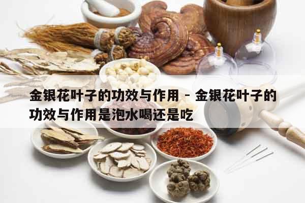 金銀花葉子的功效與作用 - 金銀花葉子的功效與作用是泡水喝還是吃