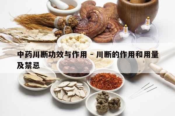 中藥川斷功效與作用 - 川斷的作用和用量及禁忌 中藥川斷功效與作用 - 川斷的作用和用量及禁忌