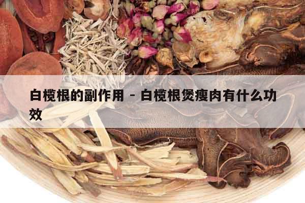 白欖根的副作用 - 白欖根煲瘦肉有什么功效