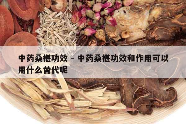 中藥桑椹功效 - 中藥桑椹功效和作用可以用什么替代呢