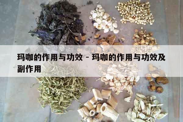 瑪咖的作用與功效 - 瑪咖的作用與功效及副作用