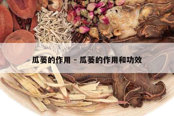 瓜蔞的作用 - 瓜蔞的作用和功效