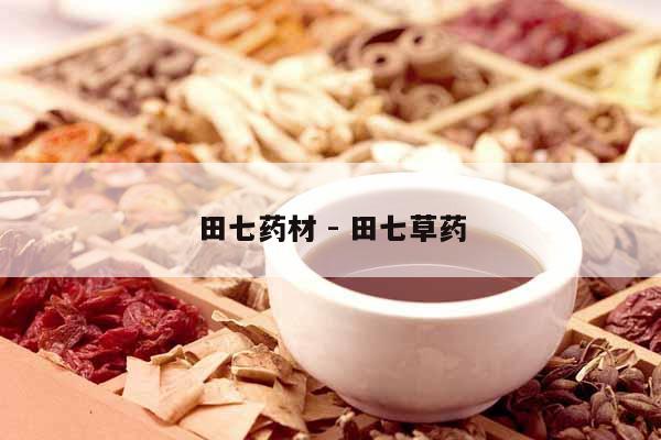 田七藥材 - 田七草藥