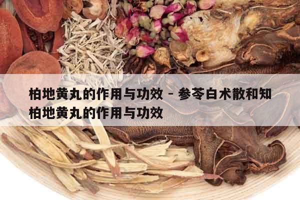 柏地黃丸的作用與功效 - 參苓白術(shù)散和知柏地黃丸的作用與功效