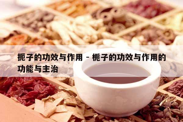 扼子的功效與作用 - 梔子的功效與作用的功能與主治 扼子的功效與作用 - 梔子的功效與作用的功能與主治