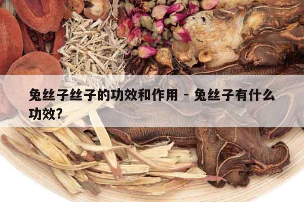 兔絲子絲子的功效和作用 - 兔絲子有什么功效?