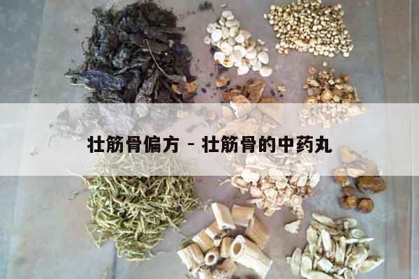 壯筋骨偏方 - 壯筋骨的中藥丸