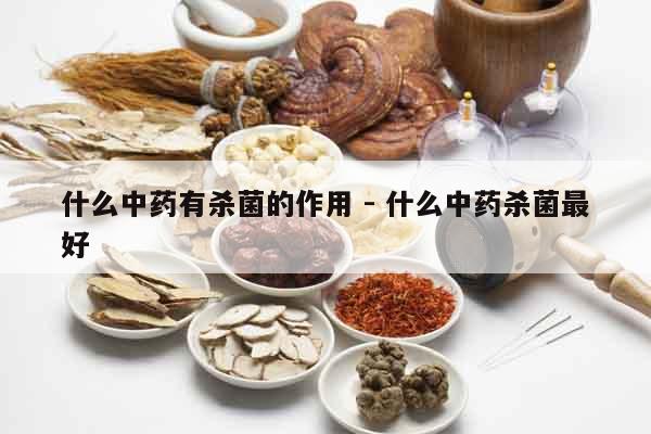 什么中藥有殺菌的作用 - 什么中藥殺菌最好