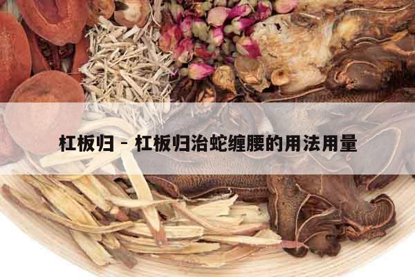 杠板歸 - 杠板歸治蛇纏腰的用法用量