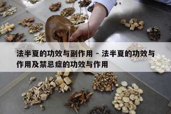 法半夏的功效與副作用 - 法半夏的功效與作用及禁忌癥的功效與作用