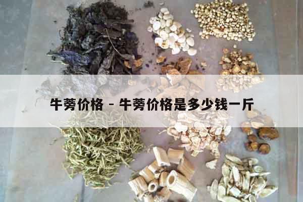 牛蒡價格 - 牛蒡價格是多少錢一斤