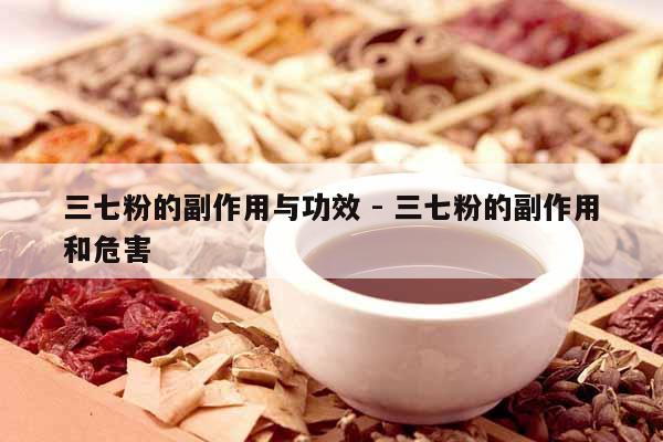 三七粉的副作用與功效 - 三七粉的副作用和危害