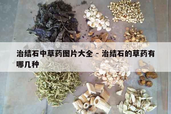 治結石中草藥圖片大全 - 治結石的草藥有哪幾種