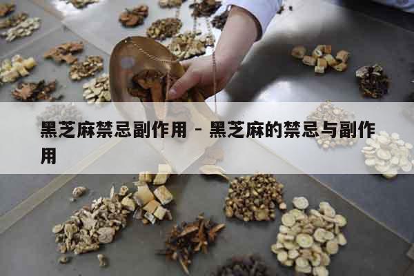 黑芝麻禁忌副作用 - 黑芝麻的禁忌與副作用