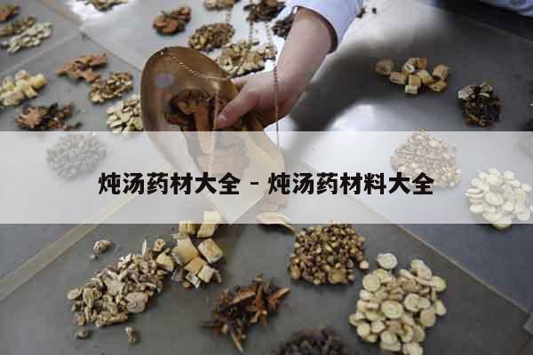 燉湯藥材大全 - 燉湯藥材料大全 燉湯藥材大全 - 燉湯藥材料大全