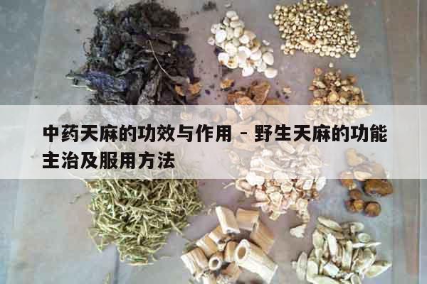 中藥天麻的功效與作用 - 野生天麻的功能主治及服用方法