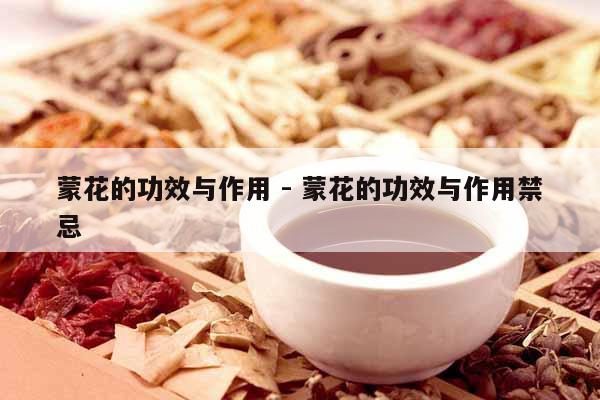 蒙花的功效與作用 - 蒙花的功效與作用禁忌