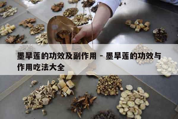 墨旱蓮的功效及副作用 - 墨旱蓮的功效與作用吃法大全