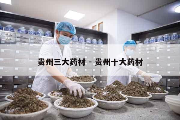 貴州三大藥材 - 貴州十大藥材