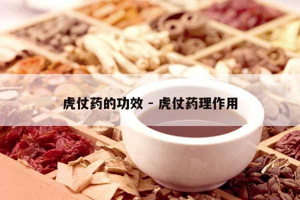 虎仗藥的功效 - 虎仗藥理作用