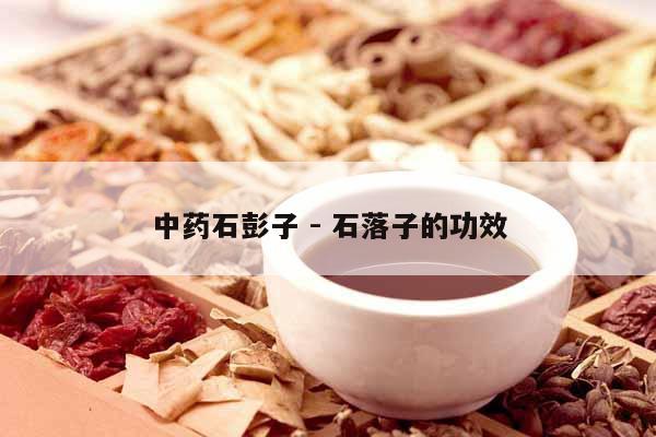 中藥石彭子 - 石落子的功效