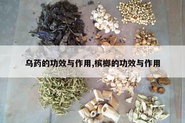 烏藥的功效與作用,檳榔的功效與作用