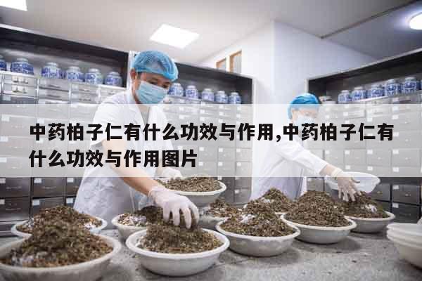 中藥柏子仁有什么功效與作用,中藥柏子仁有什么功效與作用圖片