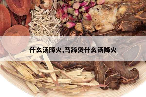 什么湯降火,馬蹄煲什么湯降火