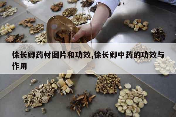 徐長卿藥材圖片和功效,徐長卿中藥的功效與作用