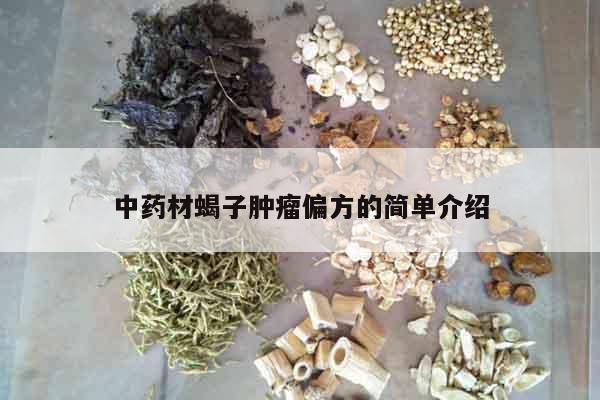 中藥材蝎子腫瘤偏方的簡單介紹