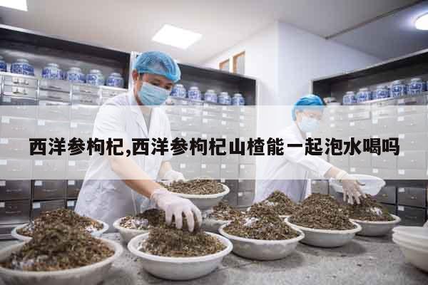 西洋參枸杞,西洋參枸杞山楂能一起泡水喝嗎