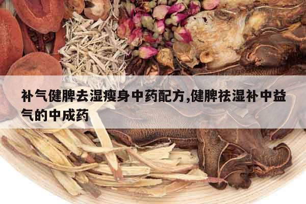 補氣健脾去濕瘦身中藥配方,健脾祛濕補中益氣的中成藥