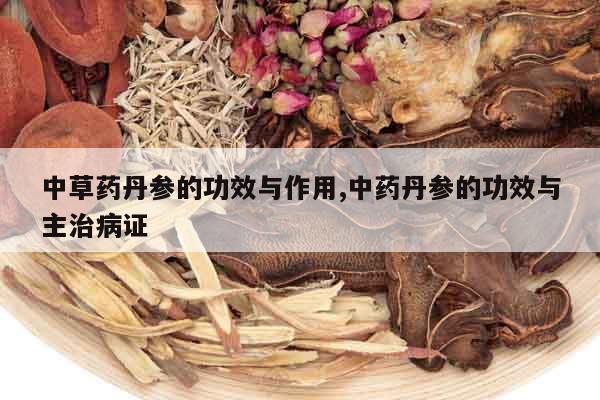 中草藥丹參的功效與作用,中藥丹參的功效與主治病證