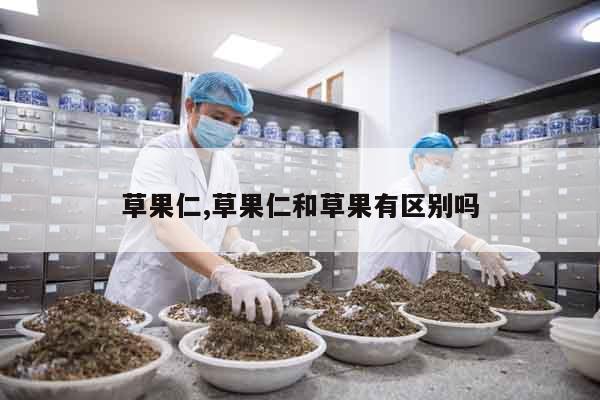 草果仁,草果仁和草果有區別嗎