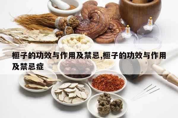 榧子的功效與作用及禁忌,榧子的功效與作用及禁忌癥