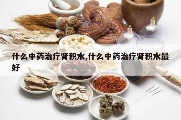 什么中藥治療腎積水,什么中藥治療腎積水最好