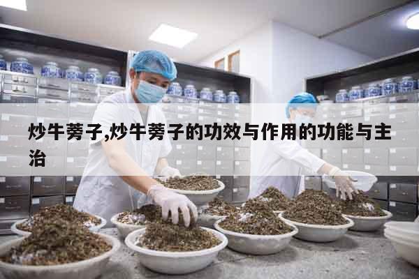 炒牛蒡子,炒牛蒡子的功效與作用的功能與主治