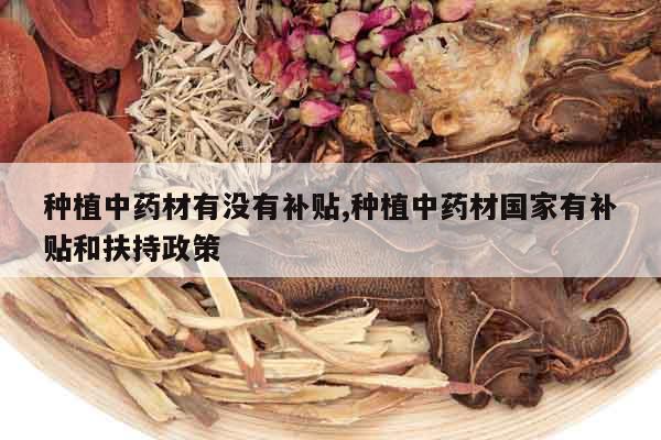 種植中藥材有沒有補貼,種植中藥材國家有補貼和扶持政策