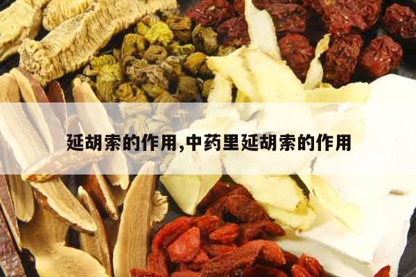 延胡索的作用,中藥里延胡索的作用