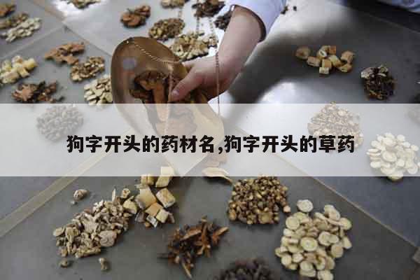 狗字開頭的藥材名,狗字開頭的草藥