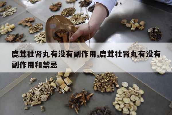 鹿茸壯腎丸有沒有副作用,鹿茸壯腎丸有沒有副作用和禁忌