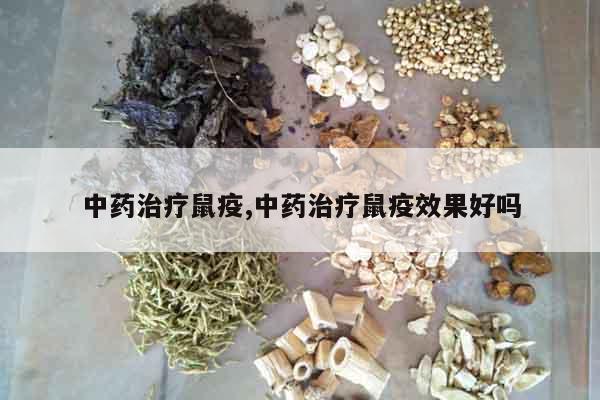 中藥治療鼠疫,中藥治療鼠疫效果好嗎